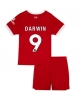 Liverpool Darwin Nunez #9 Hemmatröja Barn 2023-24 Kortärmad (+ Korta byxor)
