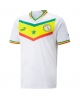Senegal Hemmatröja Män VM 2022 Kortärmad